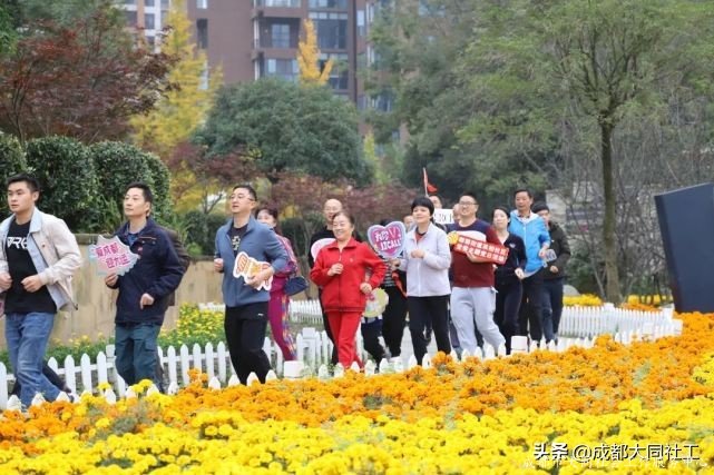 党建引领丨双小柏与你一起乘风破浪走过的2020