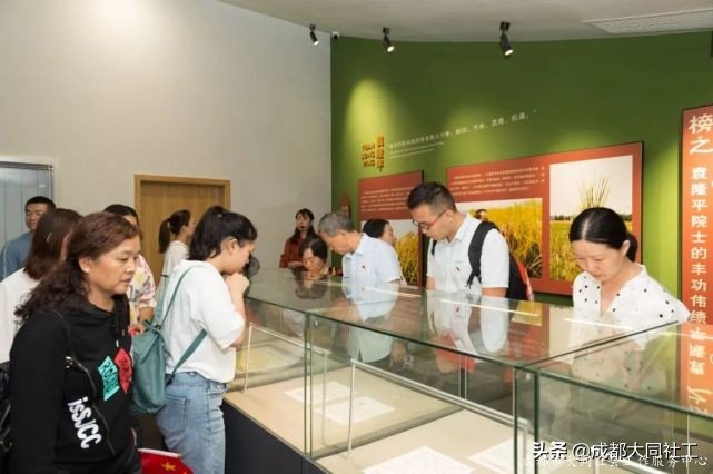 党建引领丨双小柏与你一起乘风破浪走过的2020