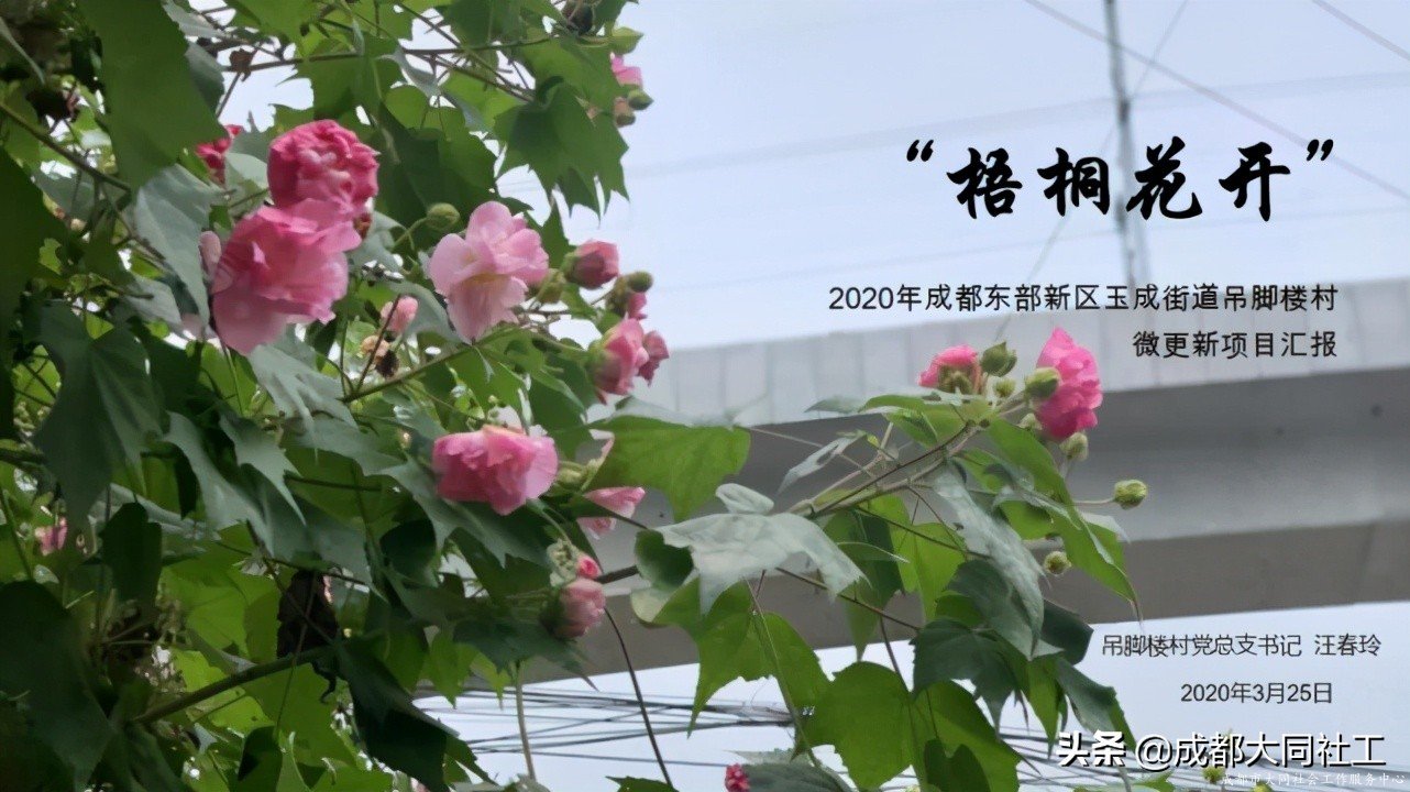 「活动回顾」微更新 促发展 激活力