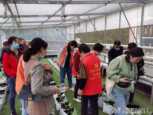 「活动回顾」中坝社区院落治理参访活动