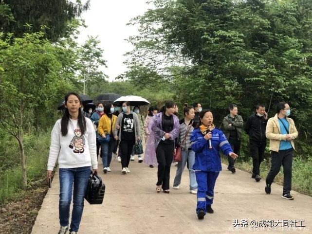 Up｜学习促发展 交流拓思路