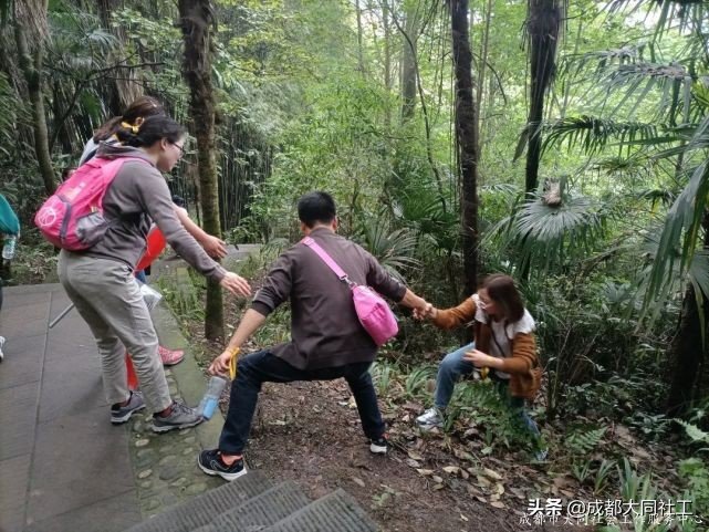 梦享书院 党群同行 | 902米的高山！你们说“征服”就“征服”了