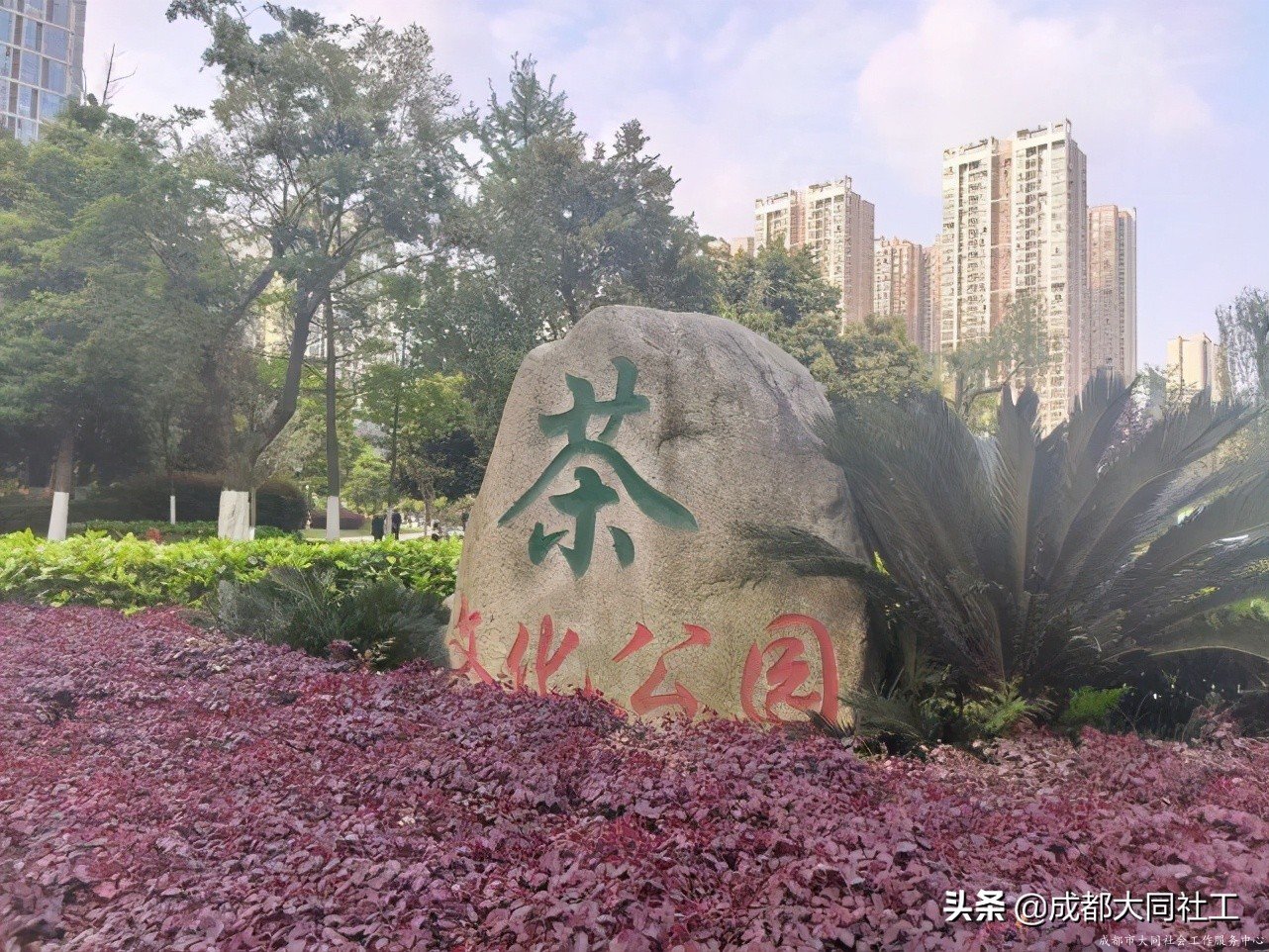 社工·社治|平台对接——推进天府艺术公园片区社区营造(四)
