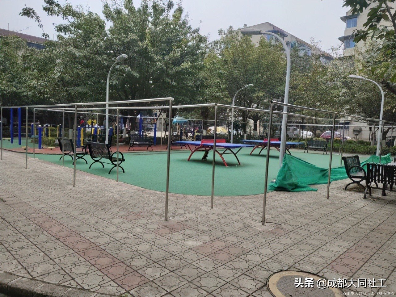社工·社治|平台对接——推进天府艺术公园片区社区营造(四)