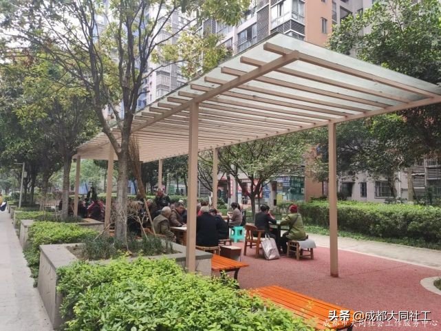 社工·社治|平台对接——推进天府艺术公园片区社区营造(四)