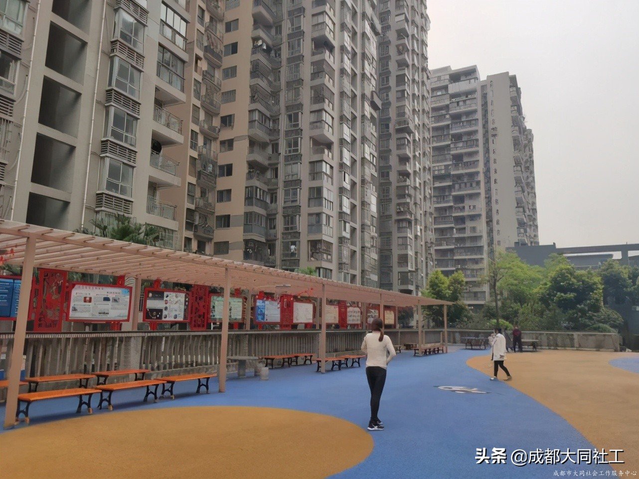 社工·社治|平台对接——推进天府艺术公园片区社区营造(四)