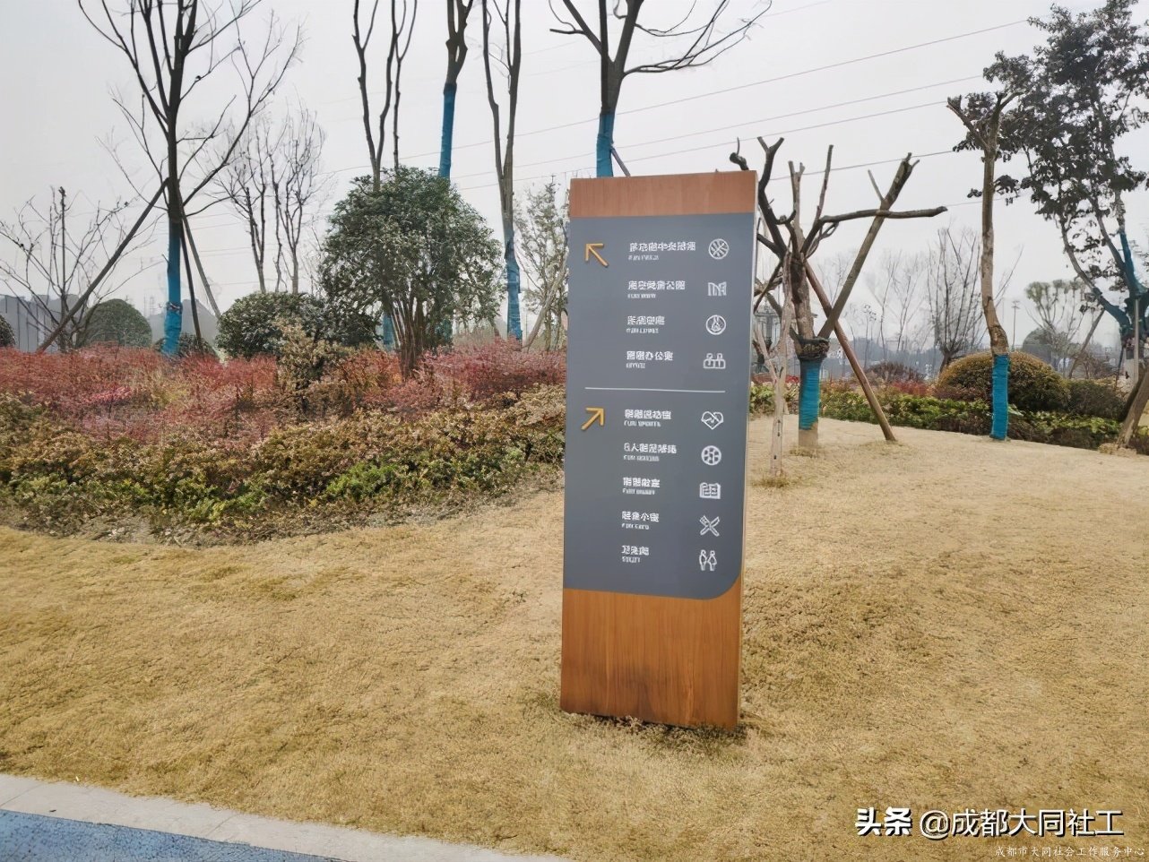 社工·社治 | 推进天府艺术公园周边片区社区营造（二）