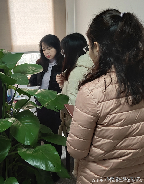 社工·社治 | 天府艺术公园周边片区社区营造（一）